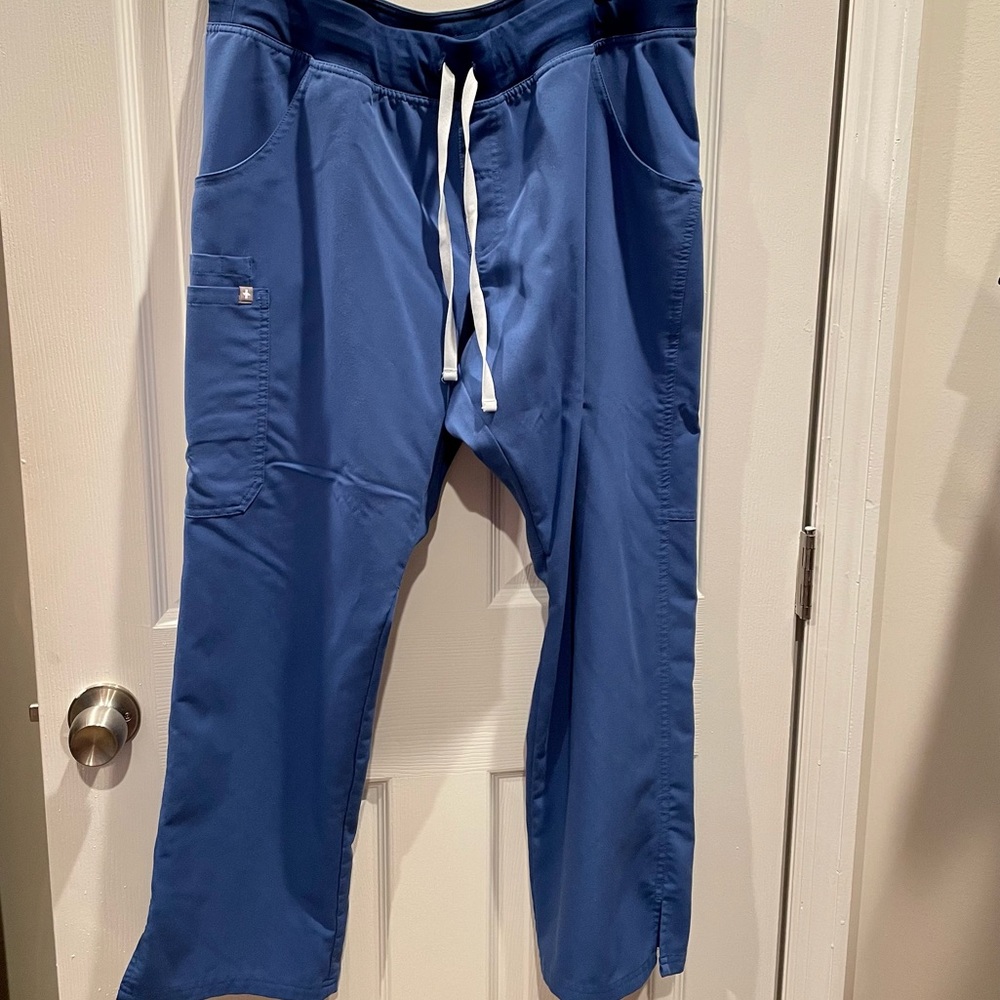 EUC Figs Kade cargo pant